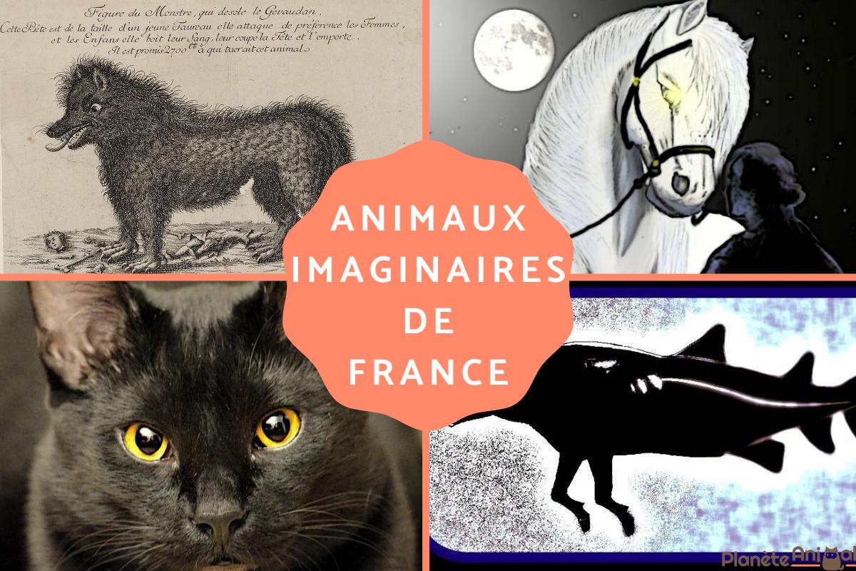 Animaux imaginaires de France - Liste