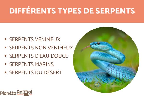 Types de serpents - Venimeux, non venimeux, marin, d'eau douce