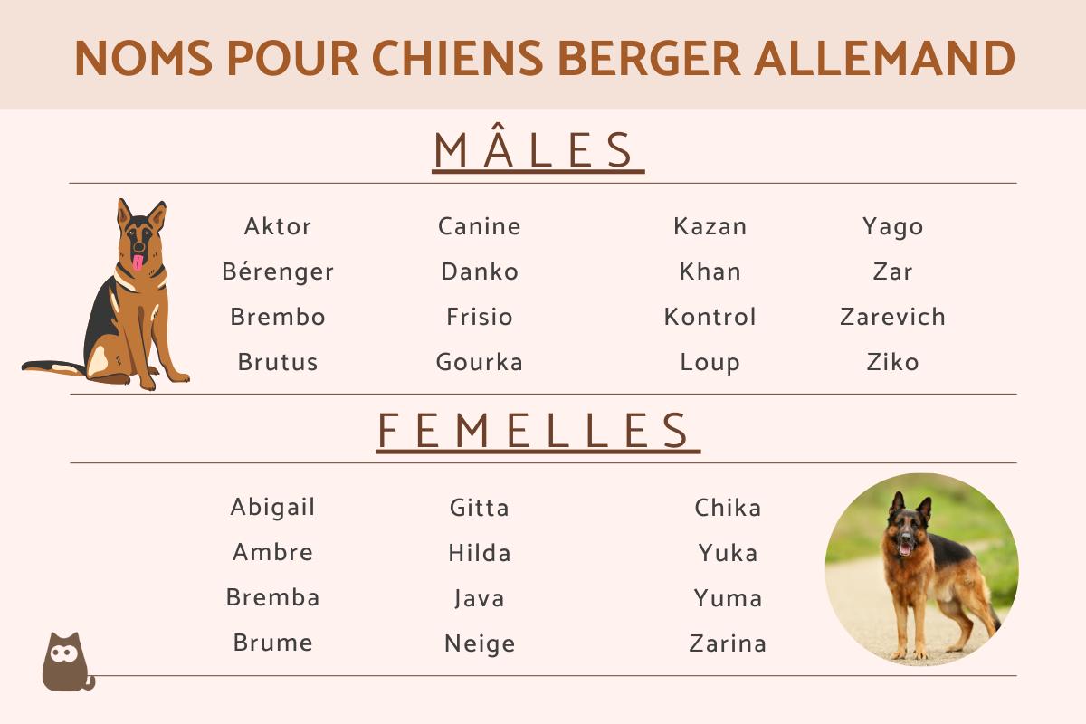Noms pour CHIENS BERGER ALLEMAND — free download
