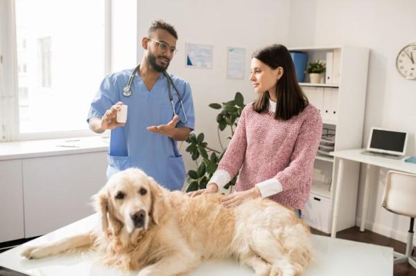 Metrobactin pour chien - Posologie, usage et effets secondaires - Prix du Metrobactin pour chien