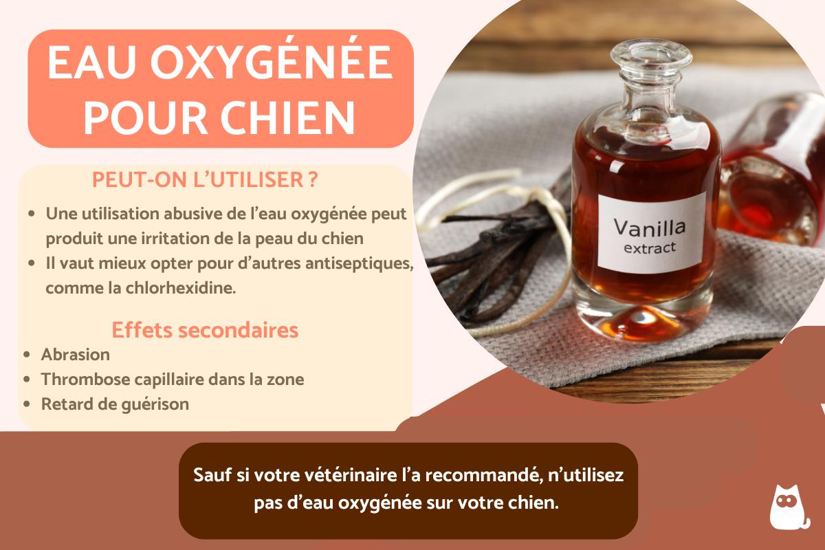 Eau oxygénée pour soigner un chien : utilisations et contre-indications