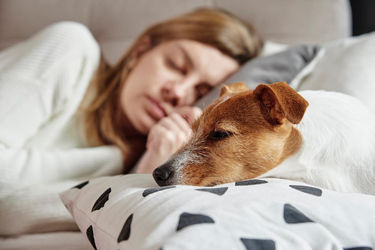 Dormir avec son chien : bienfaits et risques