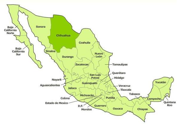 10 anecdotes sur les chihuahua - 4. Son vrai nom n'est pas Chihuahua