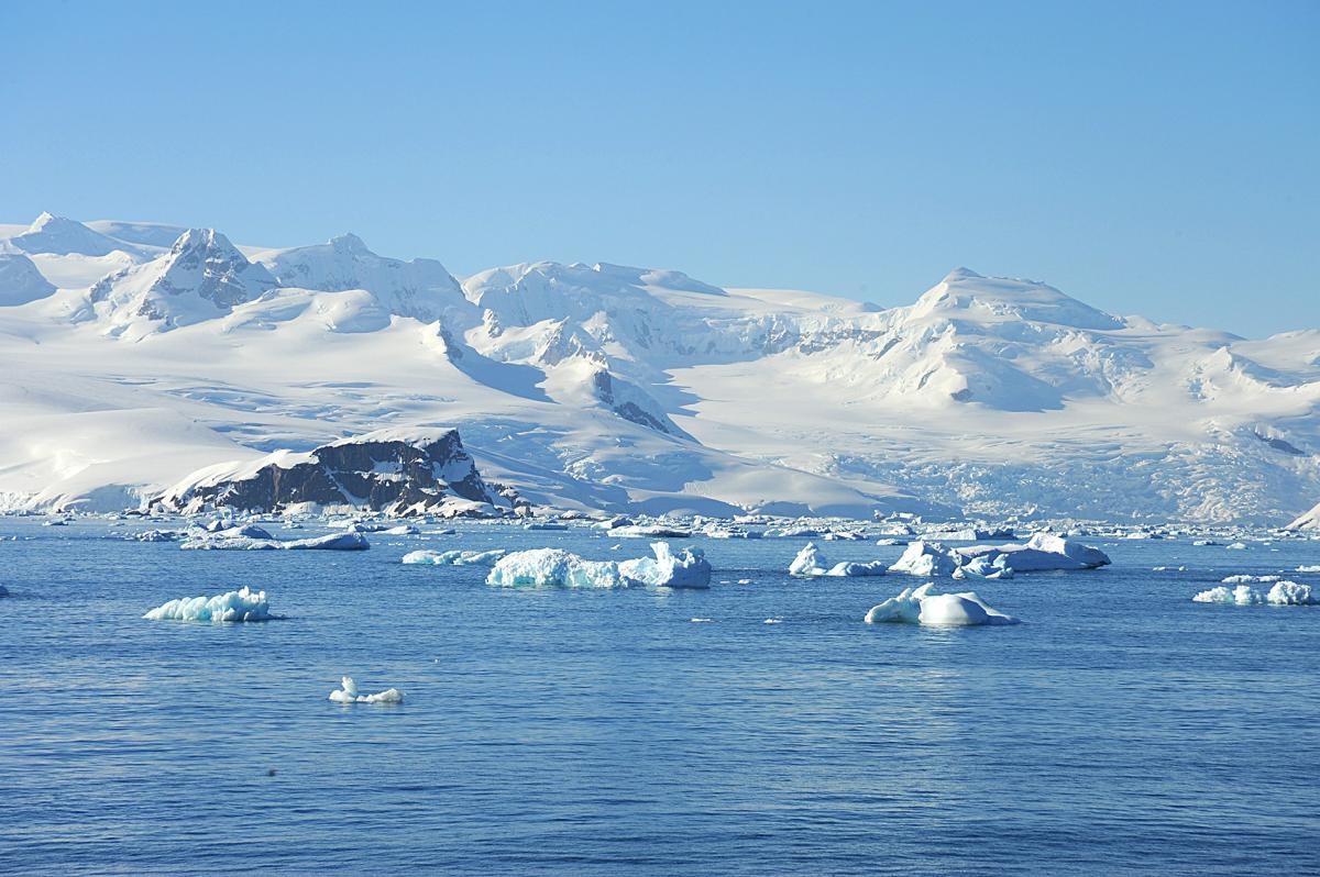 Quels sont les animaux qui vivent en Antarctique ?