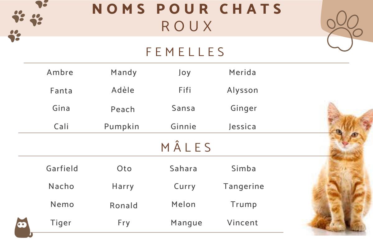 Noms pour chats roux
