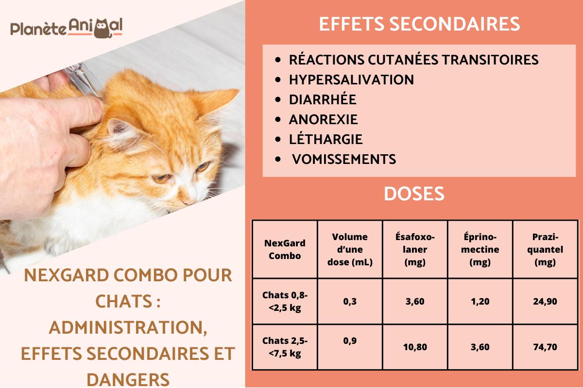 NexGard Combo pour chats : administration, effets secondaires et dangers