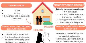 Que signifie un chat qui rentre dans une maison ?