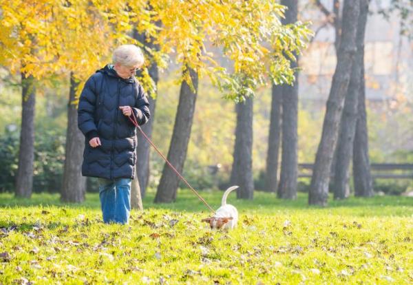 Comment calmer un chien trop nerveux - 1. Longues promenades de qualité