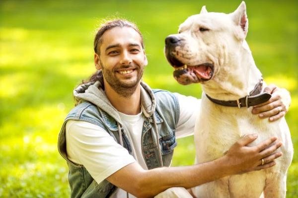 Comment calmer un chien trop nerveux - 5. Contactez un professionnel