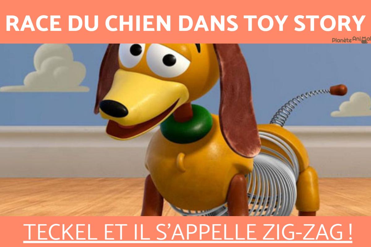 Race du chien dans Toy Story
