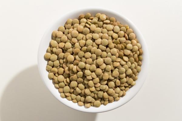Est-ce que les chats peuvent manger des lentilles ? - Bienfaits des lentilles pour chat