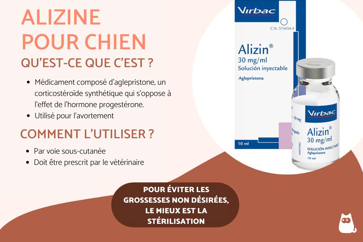 Alizine pour chien - Prix, effets secondaires et posologie