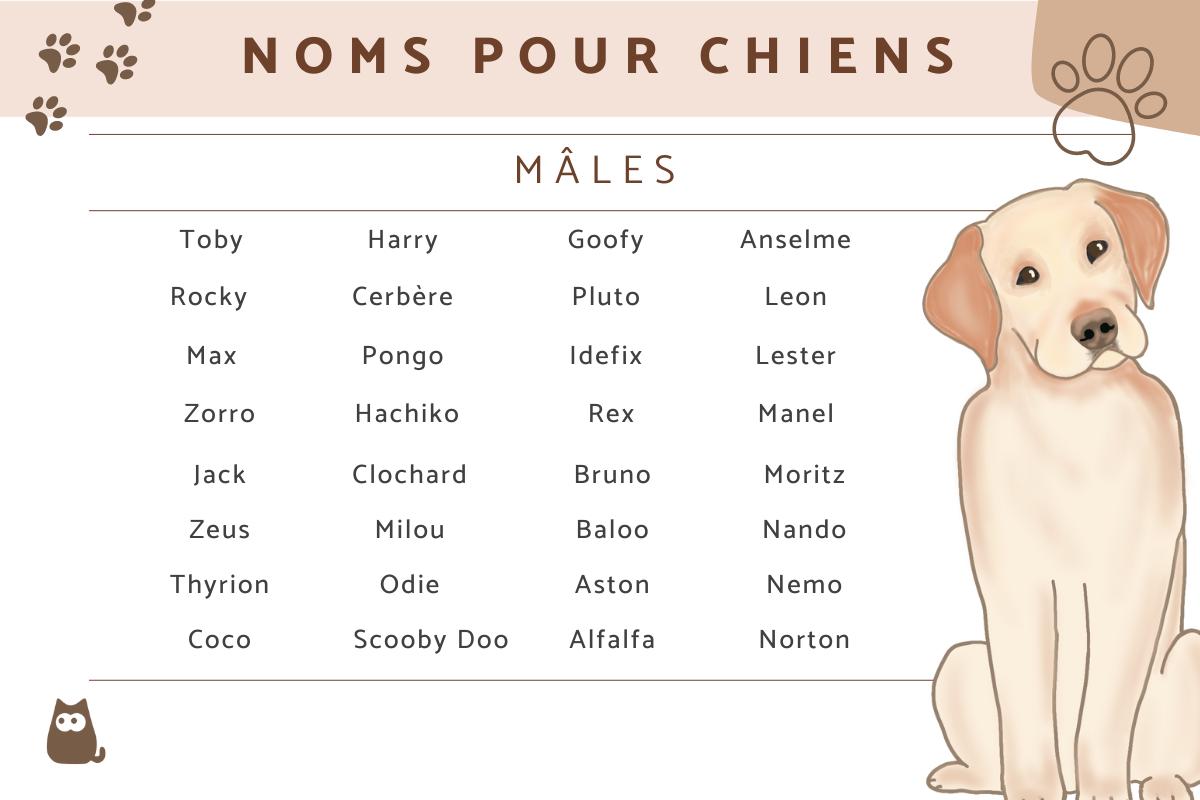 Idées de noms de chiens mâles