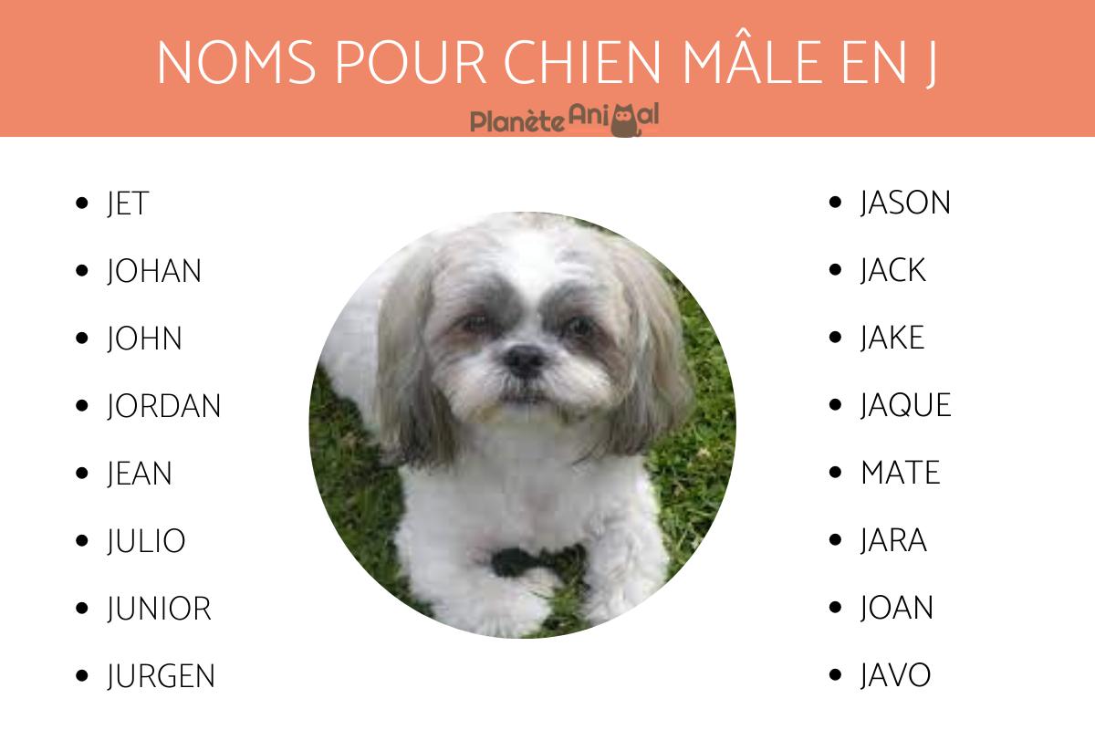Idées de noms de chiens mâles PLUS DE 900 IDÉES