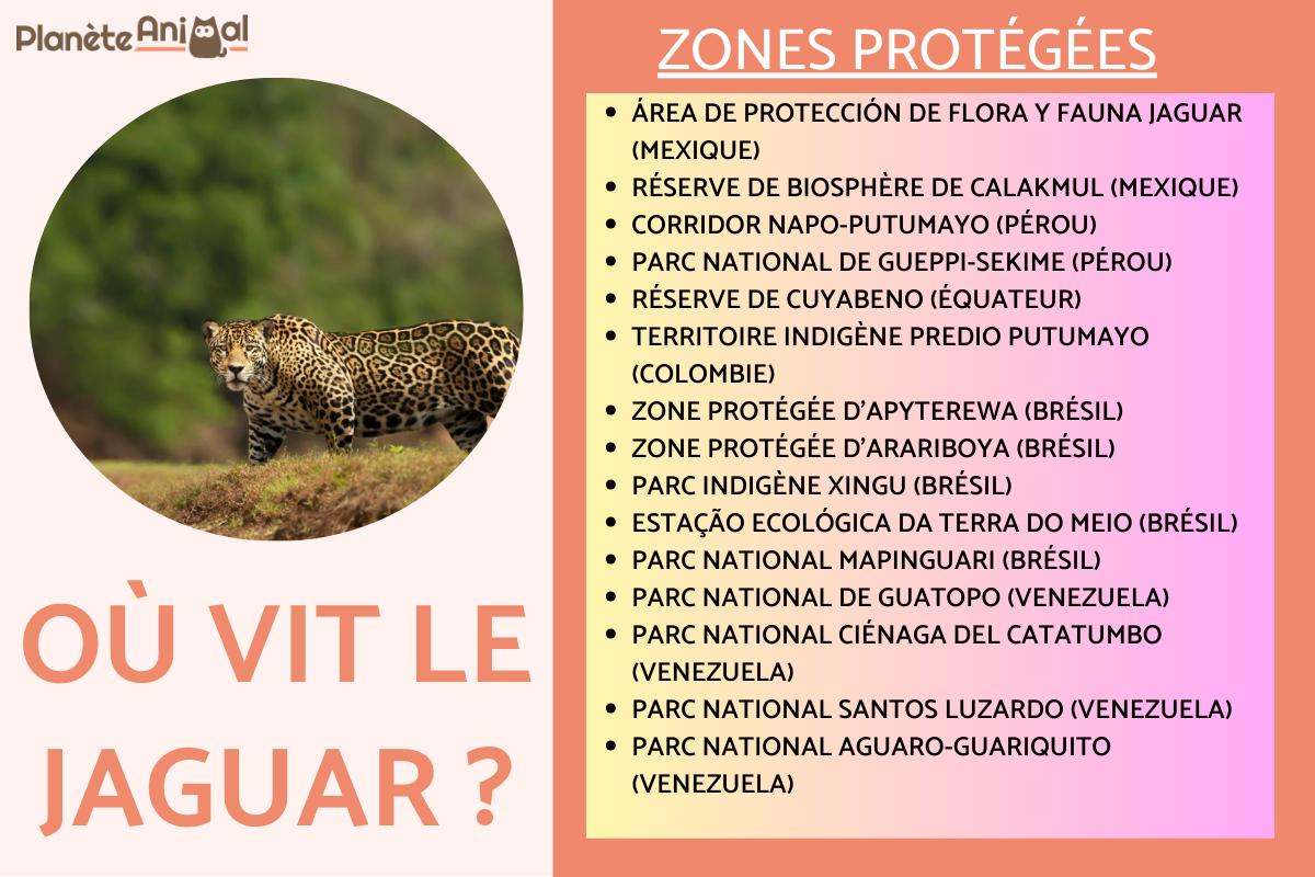 Où vit le jaguar ?