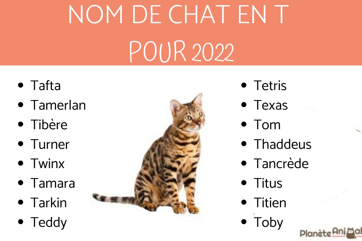 Nom de chat en T - 2022