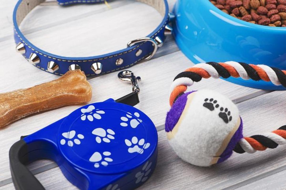 Accessoires pour chien