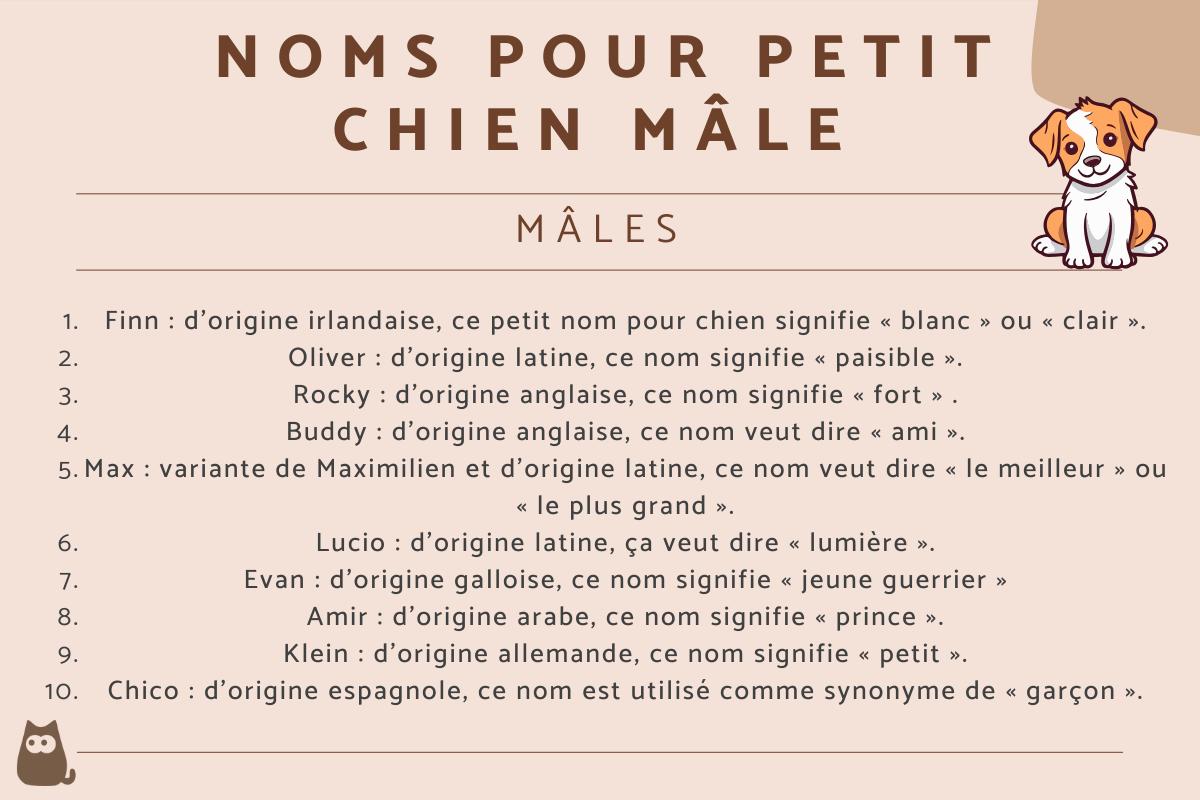 Noms pour petit chien mâle avec signification