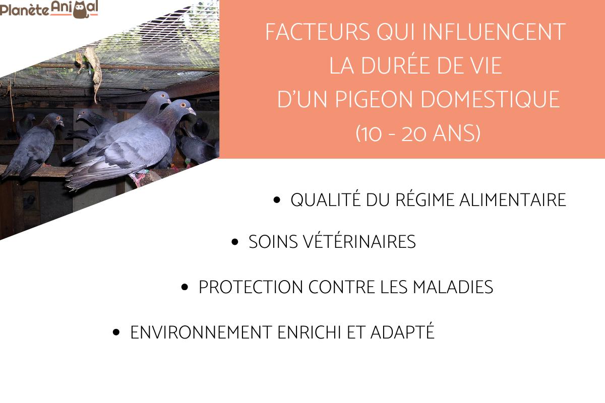 DURÉE de VIE d