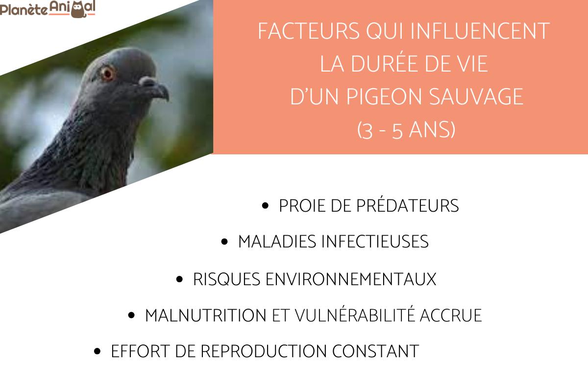 DURÉE de VIE d