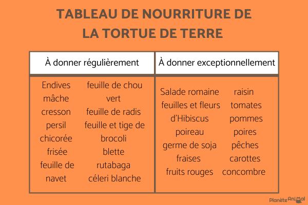 Aliments interdits aux tortues terrestres - Quelles plantes comestibles pour une tortue de terre ? - Tableau de nourriture d'une tortue de terre