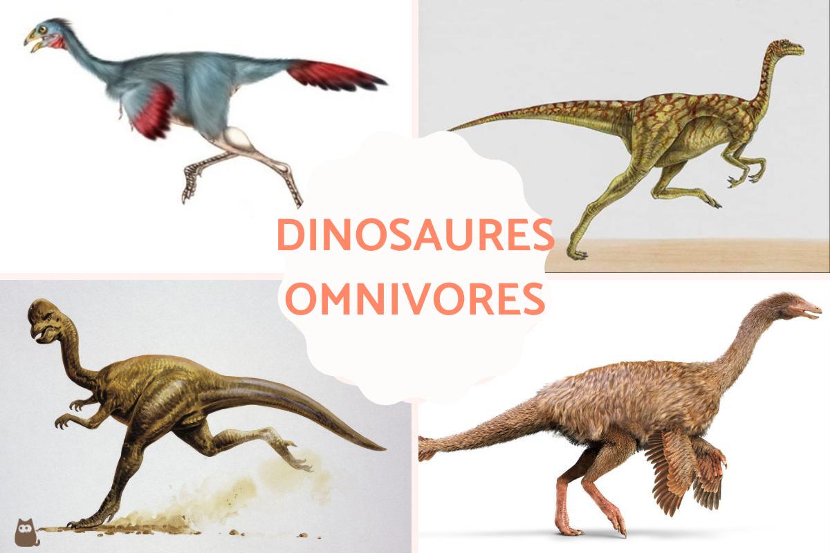 Dinosaure omnivore - Caractéristiques et exemples