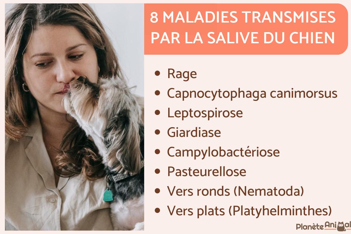 Maladie transmise par la salive du chien