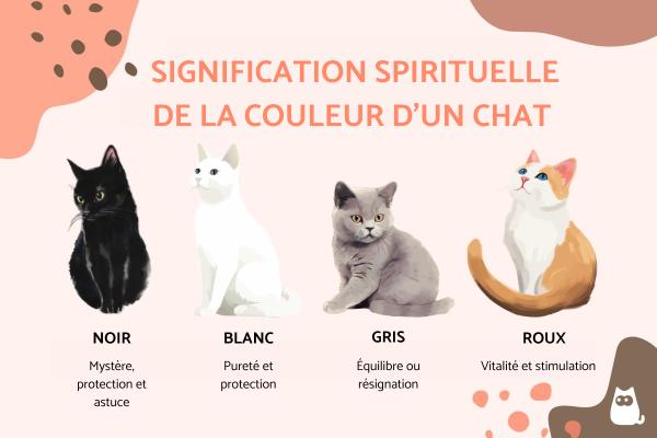 Signification spirituelle de la couleur d'un chat