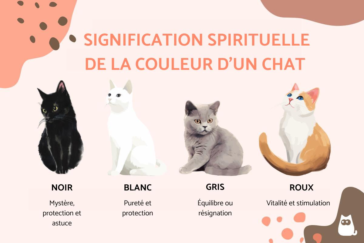 Signification spirituelle de la couleur d'un chat
