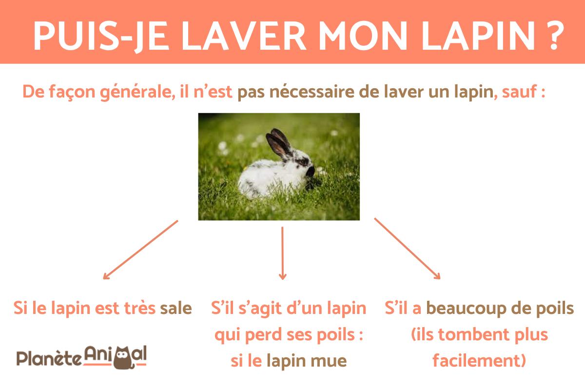 Puis-je laver mon lapin ?
