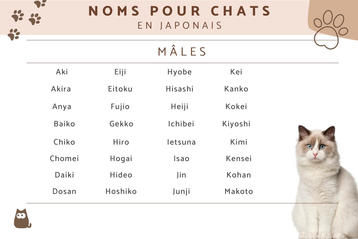Noms japonais pour chats mâles