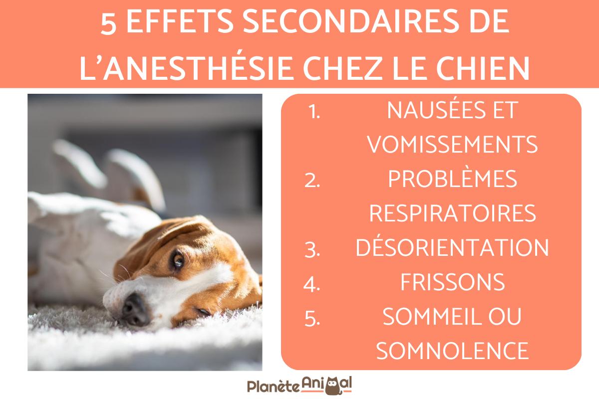 Effets secondaires de l'anesthésie chez le chien