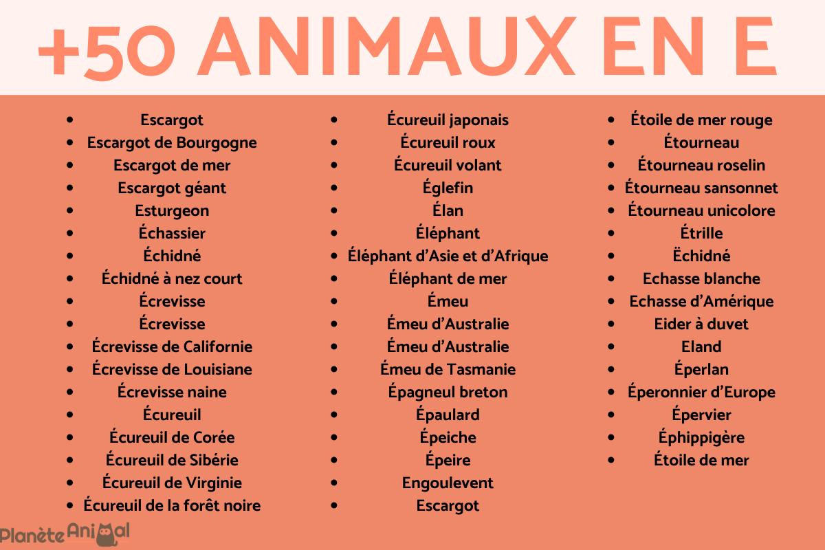 +50 ANIMAUX qui COMMENCENT par E