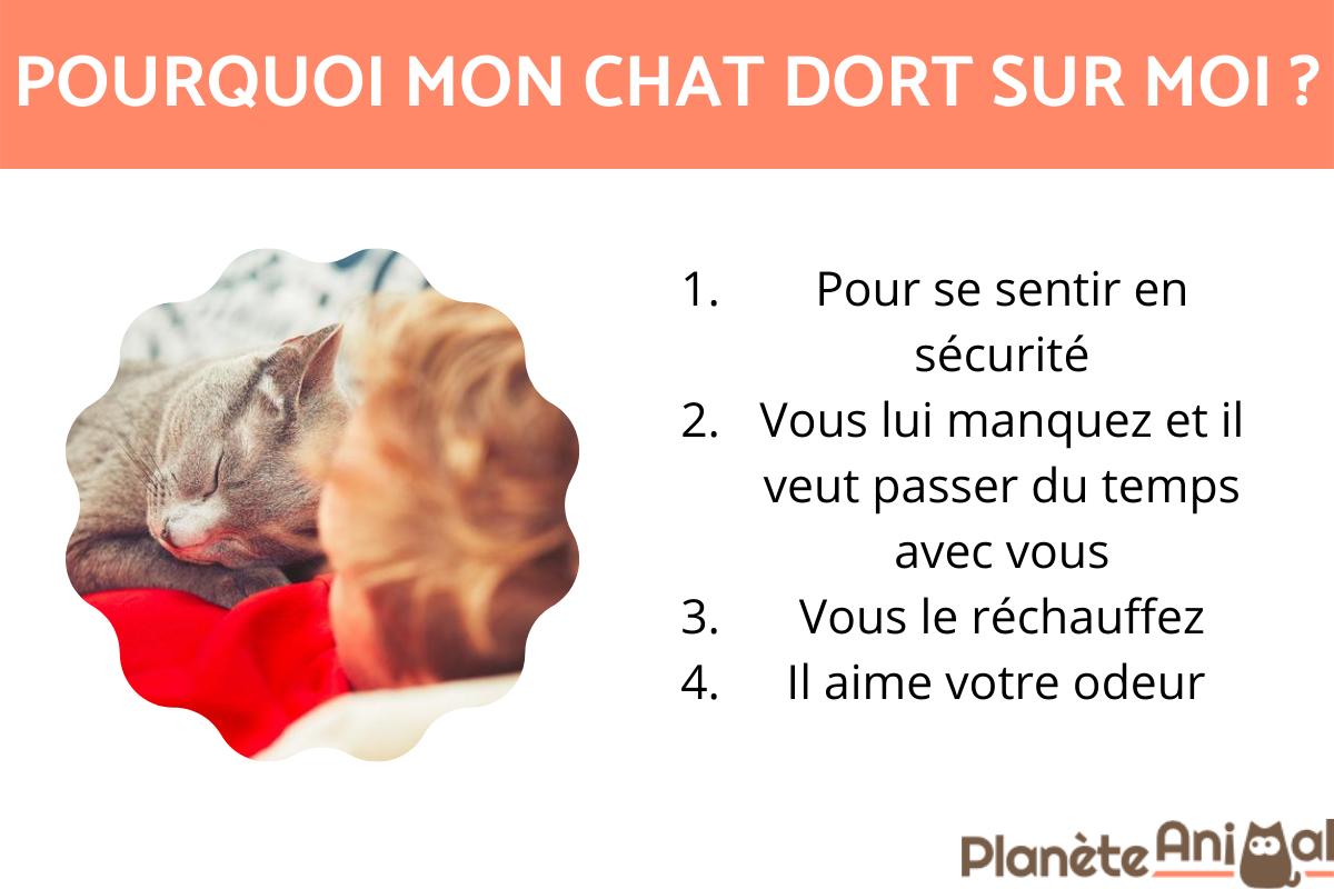 Pourquoi mon chat dort sur moi ?