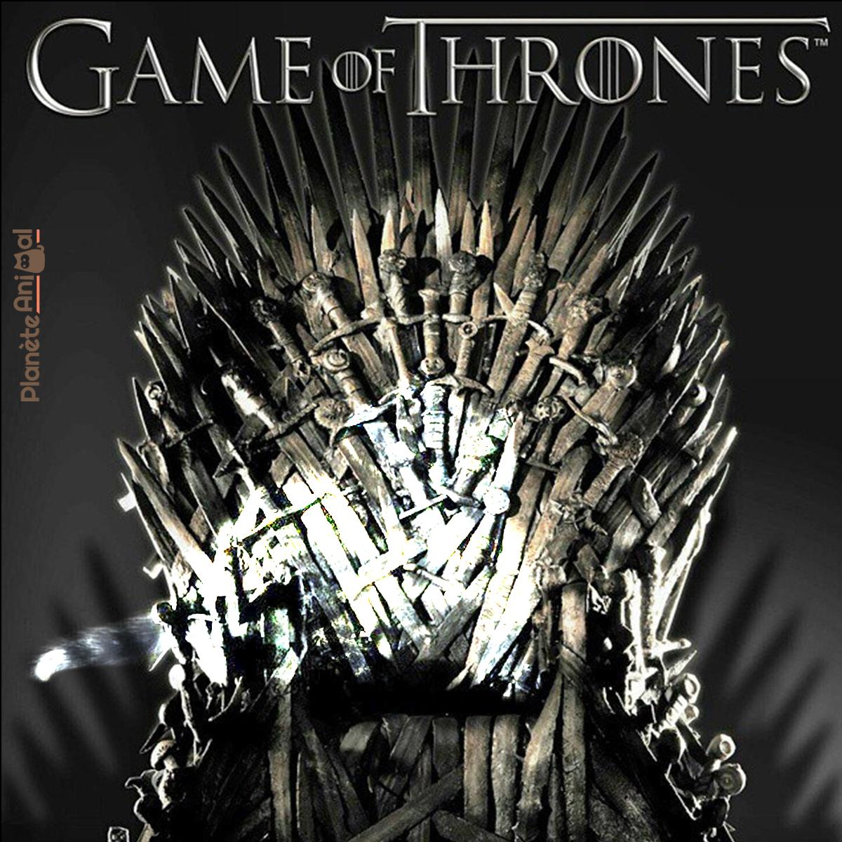 Noms de Game of Thrones pour chiens & chats