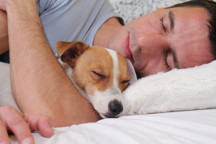 Pourquoi mon chien dort à mes pieds