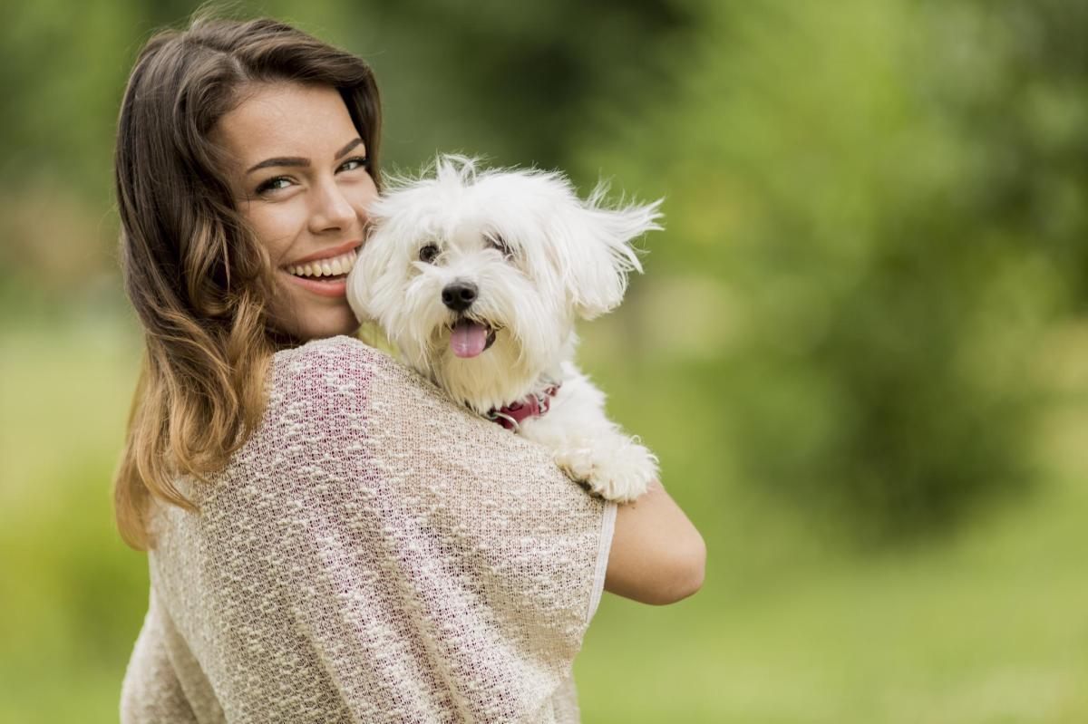 Mon chien sent mauvais Causes et solutions