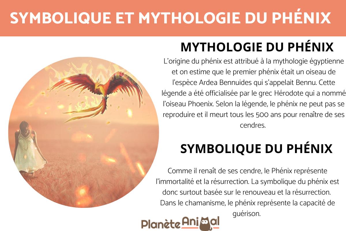 Qu'est-ce qu'un Phénix - Mythologie et symbolique