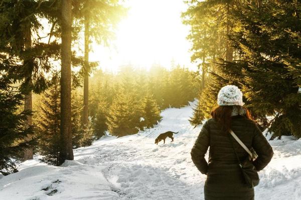 A partir de quelle température un chien a-t-il froid ? - Comment savoir si mon chien a froid ?