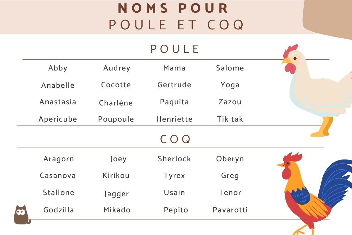 Idées de noms pour poules et coqs