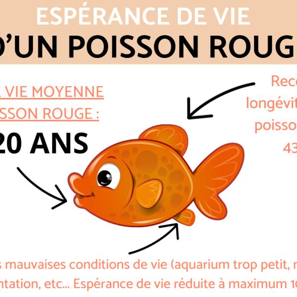 Le Plus Petit Poisson Rouge Du Monde DPSG (Des Poissons Si Grands) — free download