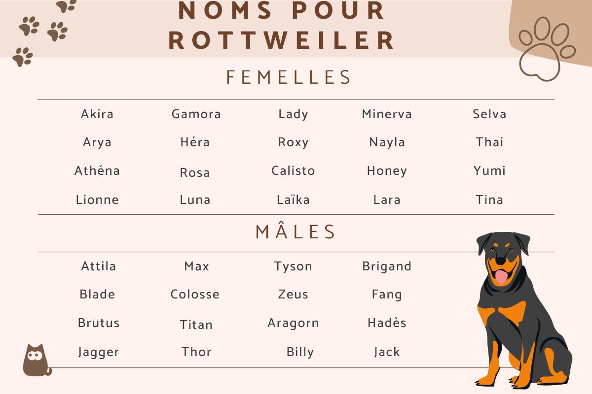 Noms de chiens Rottweiler - mâles et femelles