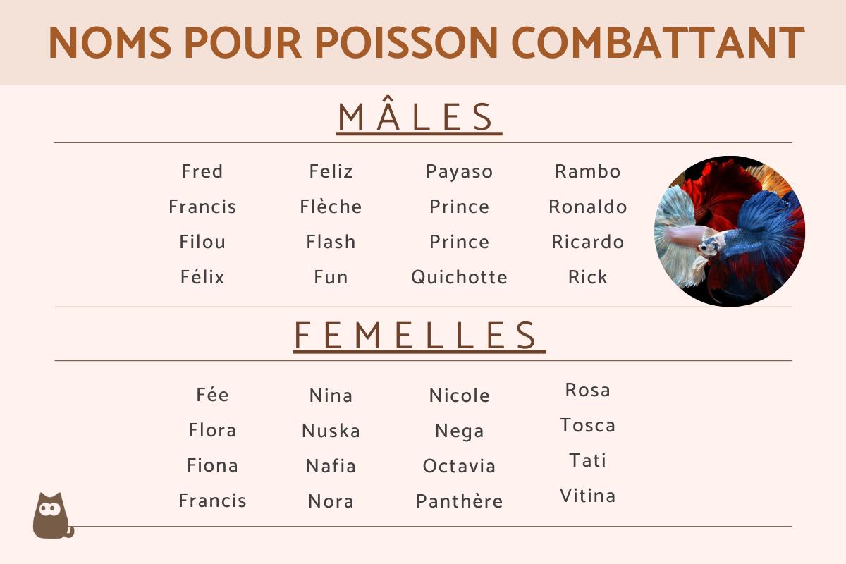 Noms pour poisson combattant - Mâle et femelle