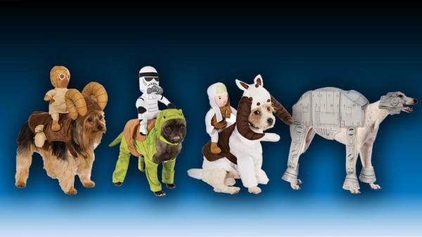 Déguisement d'Halloween pour chien - 7. Autre exemple de déguisement de chien : Star Wars