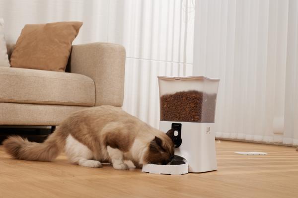Comprendre la santé de son animal grâce à ses habitudes quotidiennes - Que peuvent analyser les appareils intelligents pour animaux ?