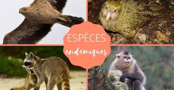 Espèces endémiques - Définition et exemples