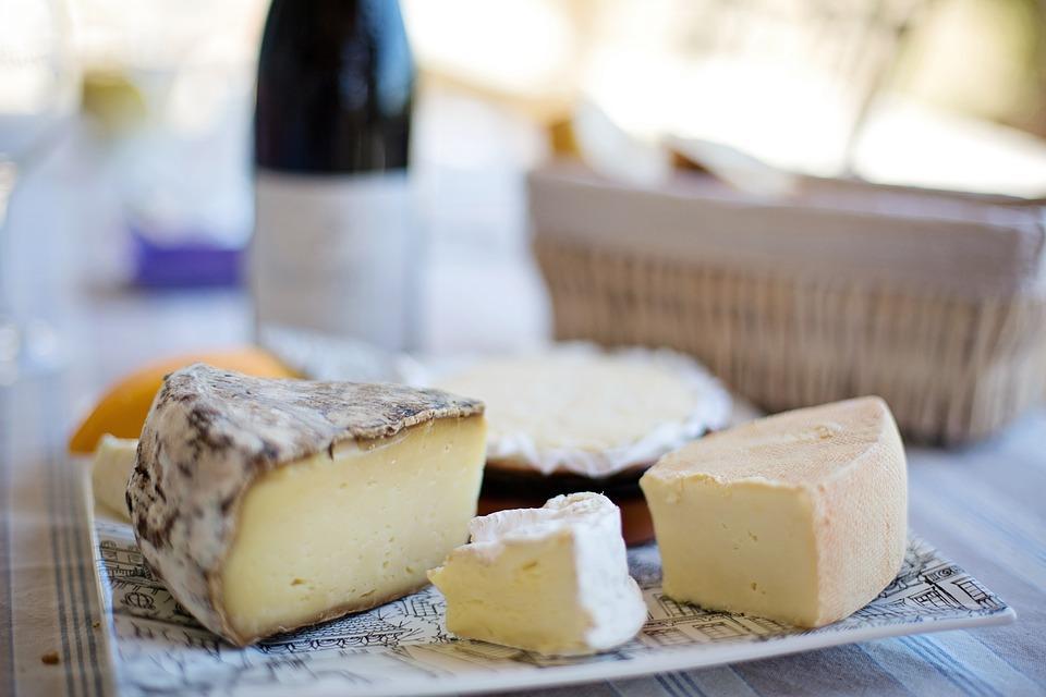 Peut-on donner du fromage à un chien ? Le fromage est-il bon pour les