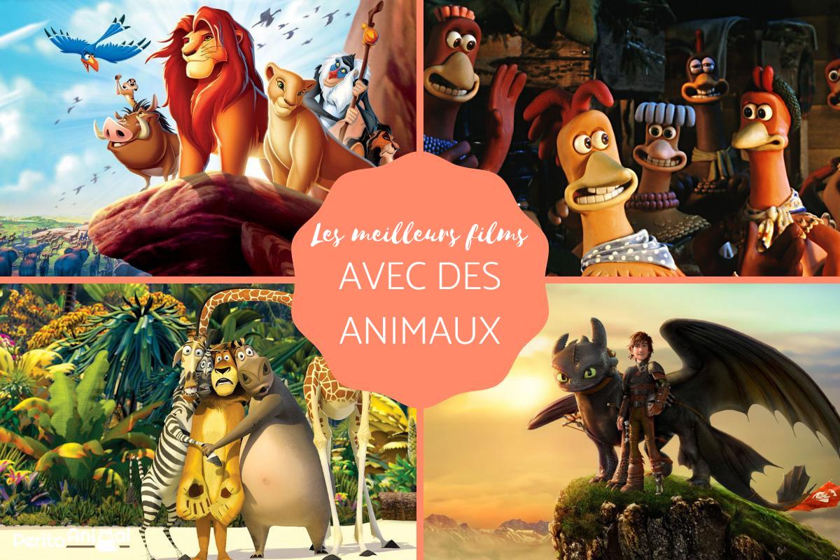 Les meilleurs films avec des animaux