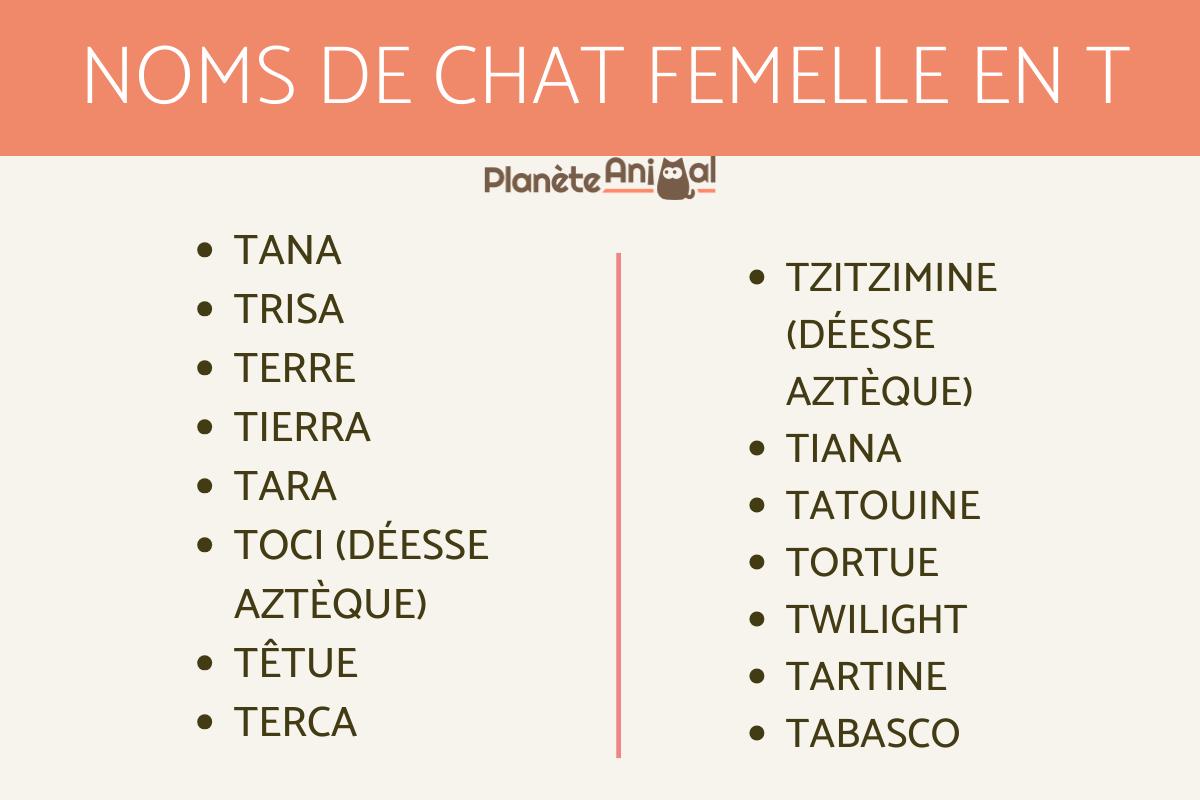 Nom De Chat Femelle 4 Lettres