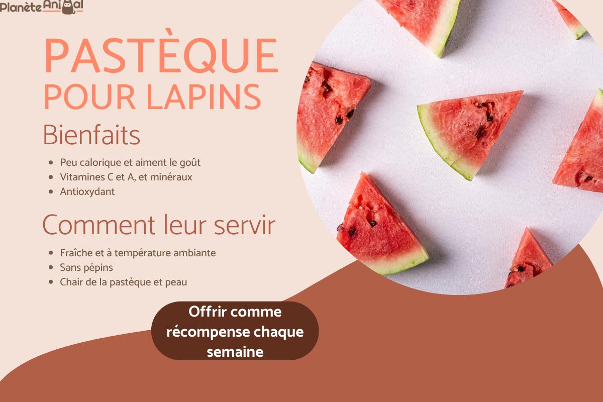 Les lapins peuvent-il manger de la pastèque ?
